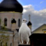 Архимандрит Рафаил Каверин "Профанация любви"