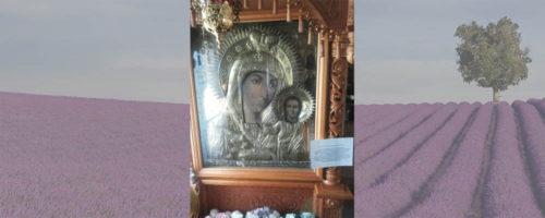По местам ссылки Св_Луки04