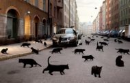10 околоцерковных суеверий, которым не стоит верить