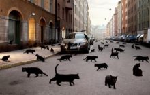 10 околоцерковных суеверий, которым не стоит верить