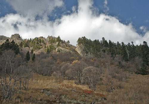 Arhiz07