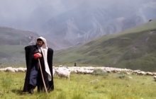 Н.М. Ракитянский, М.С. Зинченко &laquo;Политико-психологическая динамика реисламизации Северного Кавказа&raquo;
