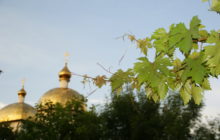 Сагидаш Зулькарнаева 
