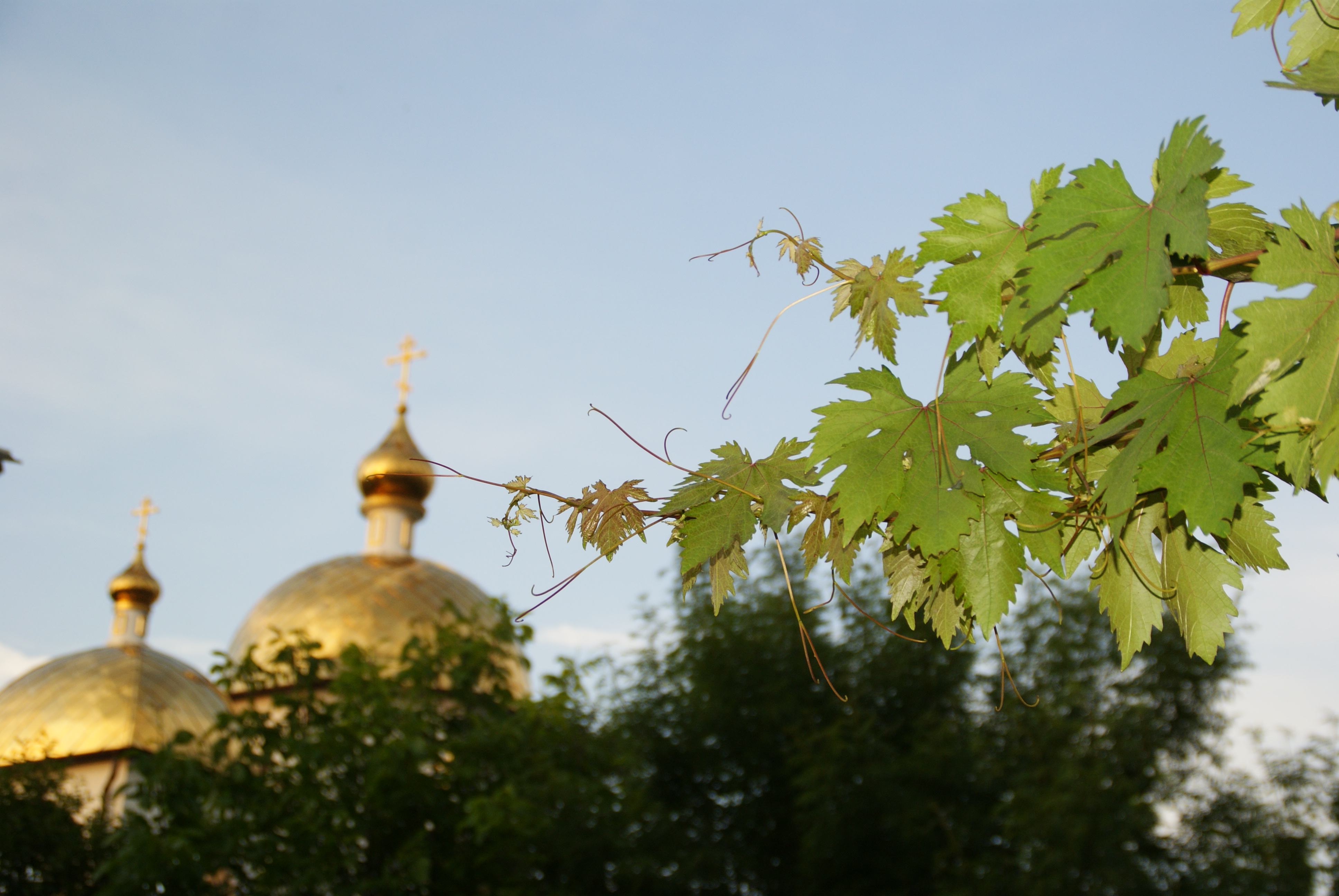 Сагидаш Зулькарнаева 