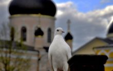 Архимандрит Рафаил (Карелин) 