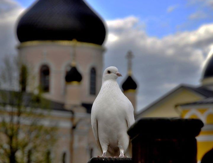 Архимандрит Рафаил (Карелин) 