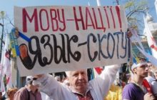 Сергей Плотников 