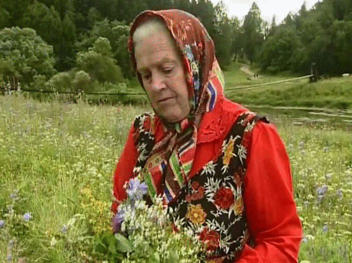 Монастырская травница: не хотите болеть — накопайте себе три корня: лопуха, пырея и одуванчика