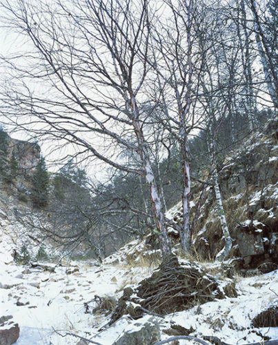 Харбаз030